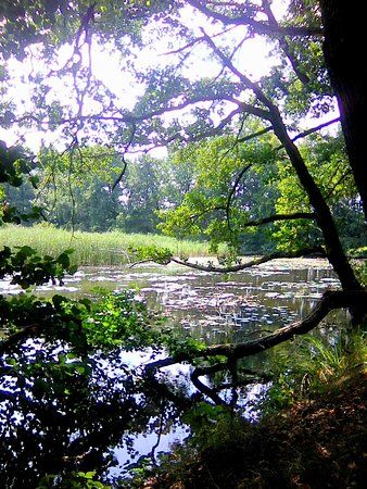 Rezerwat Przyrody Łężczok